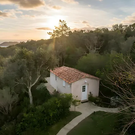 Mini 1 Piece 19 M2 Pour 2 Personnes Piscine Partagee Climatisation Lägenhet Porto-Vecchio (Corsica)